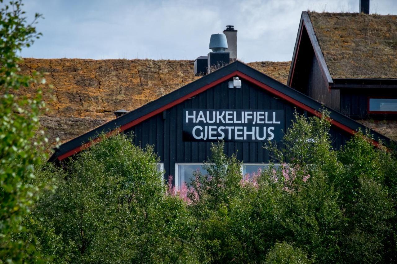 ホテルHaukelifjell Gjestehus Vågsli エクステリア 写真